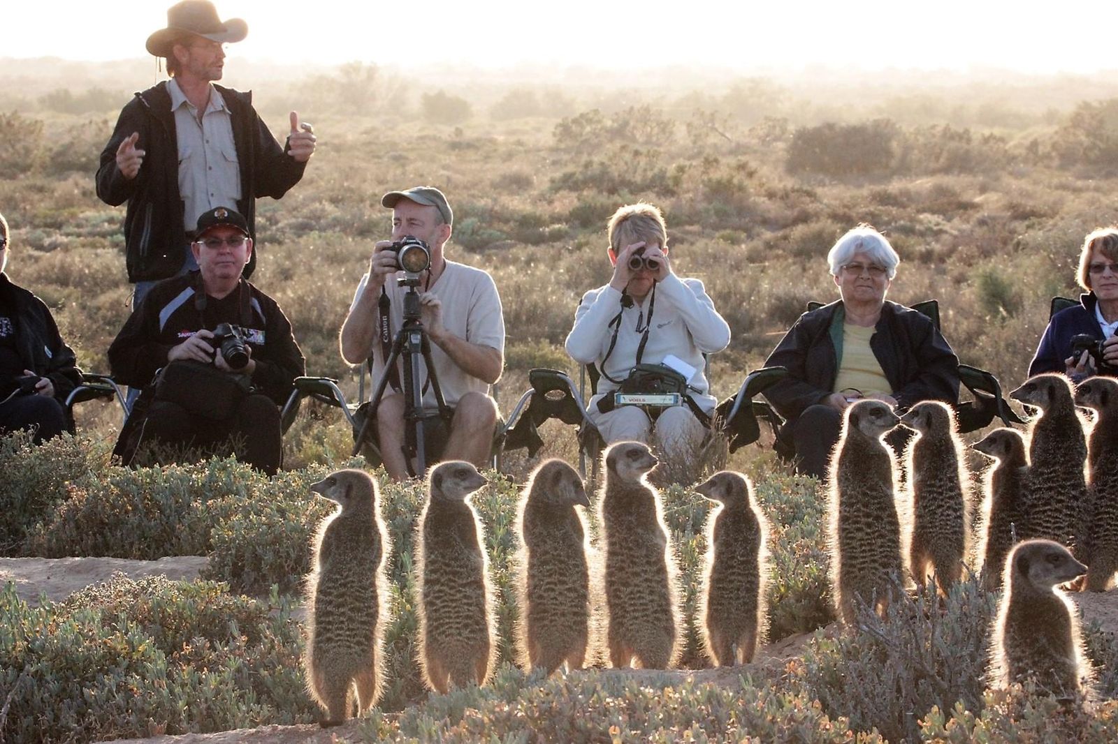 Zuid Afrika Oudtshoorn De Zeekoe Activiteit Five Shy Meerkats WE (2).jpg - Jambo Safari Club